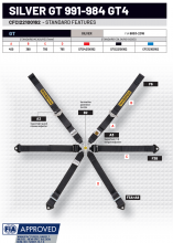 ������ SILVER GT 991-984 GT4, Sabelt